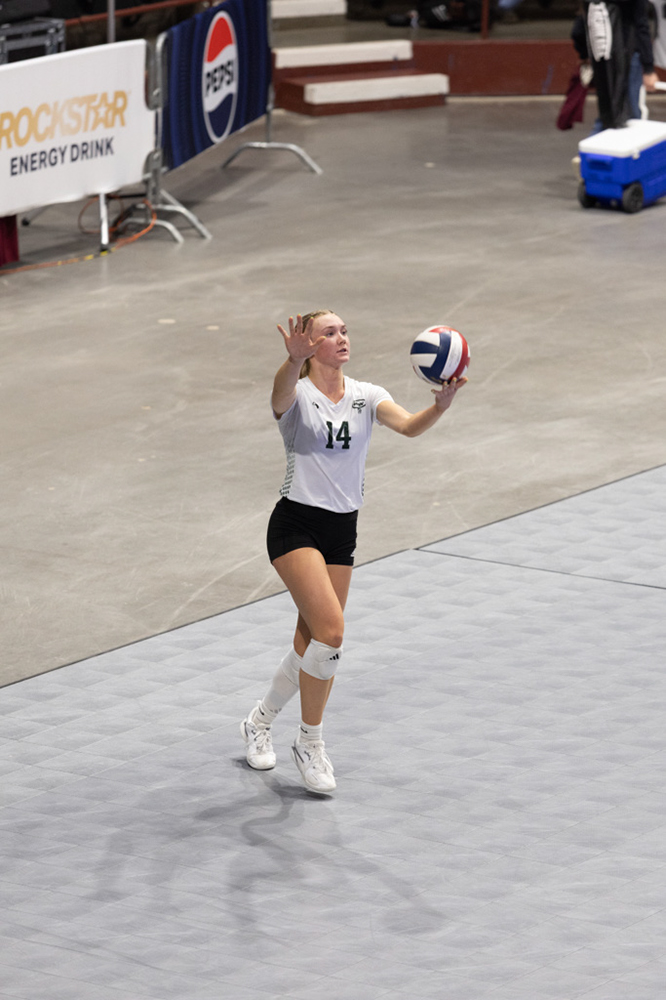 %_tempFileName1M6A0520%