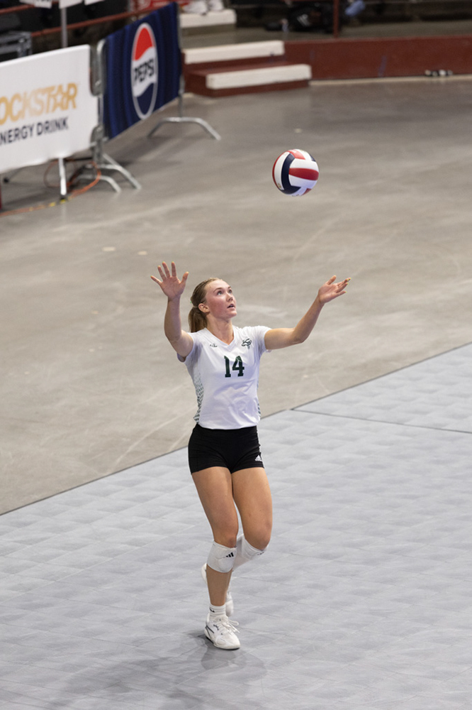 %_tempFileName1M6A0558%