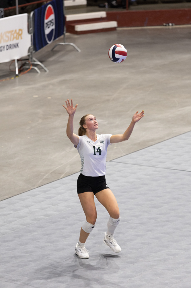 %_tempFileName1M6A0559%