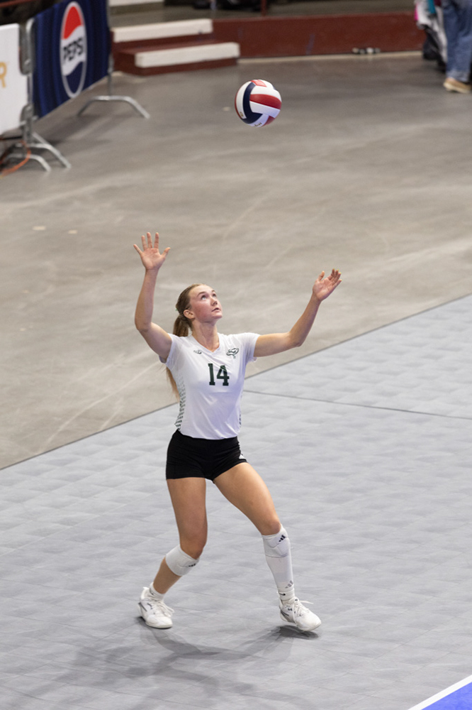 %_tempFileName1M6A0560%