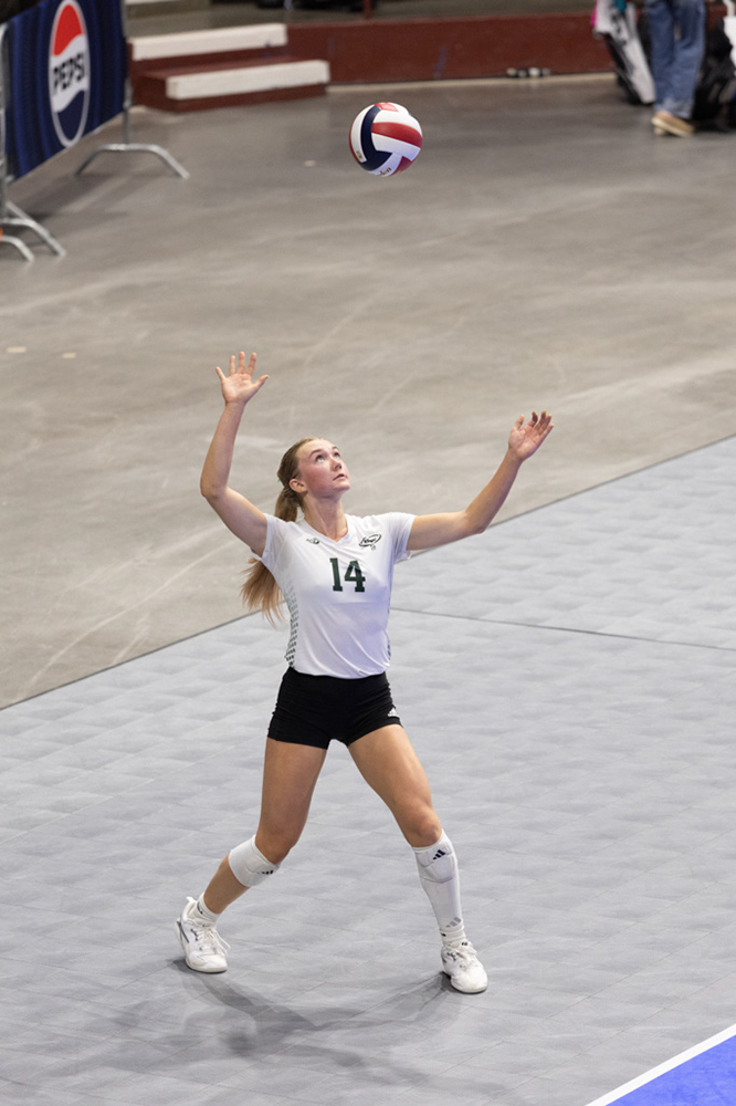 %_tempFileName1M6A0561%