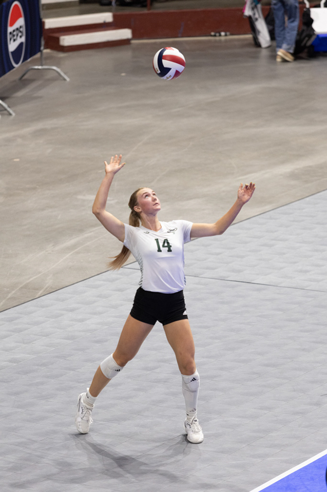 %_tempFileName1M6A0562%