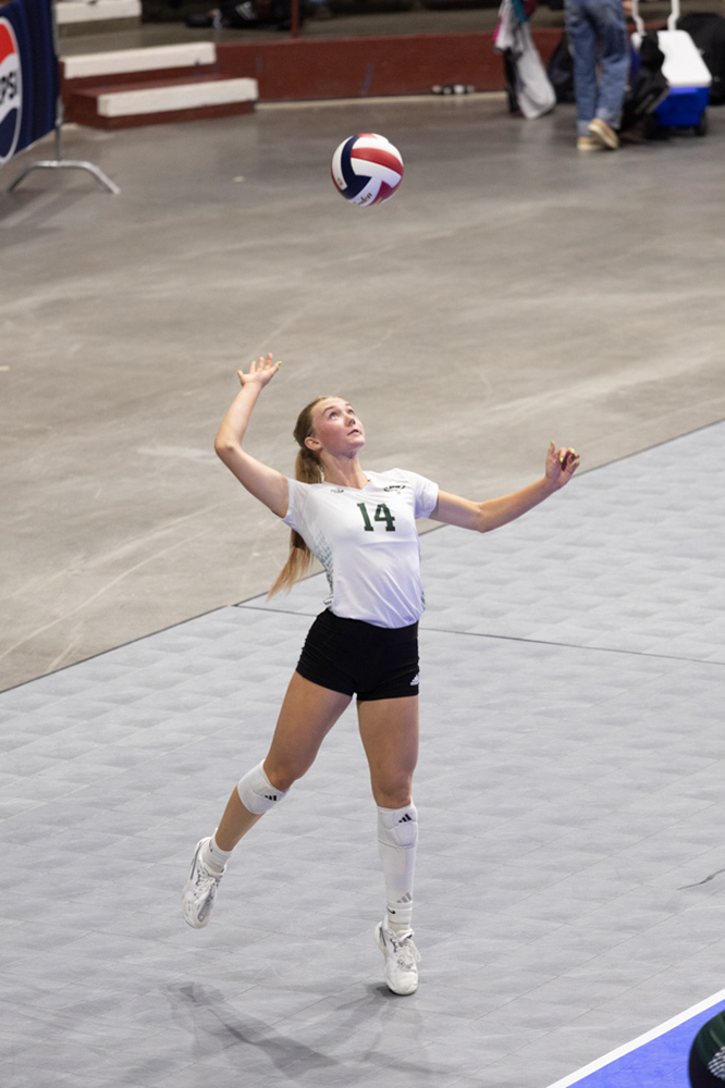 %_tempFileName1M6A0563%