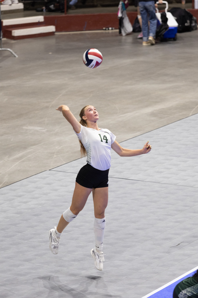 %_tempFileName1M6A0564%