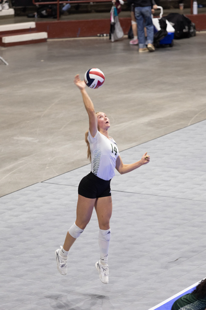 %_tempFileName1M6A0565%