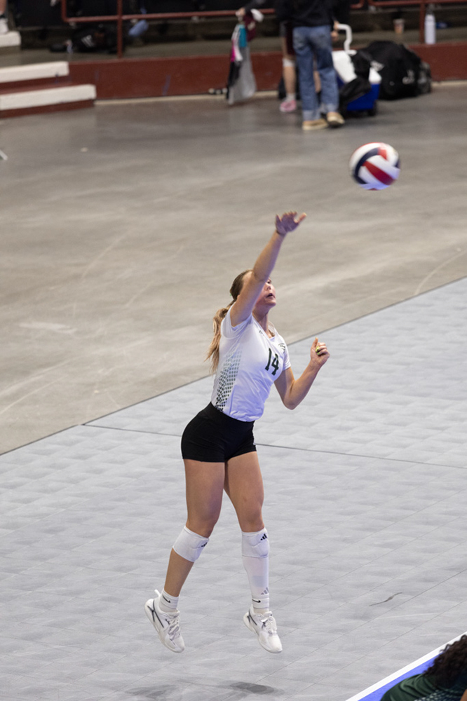 %_tempFileName1M6A0566%