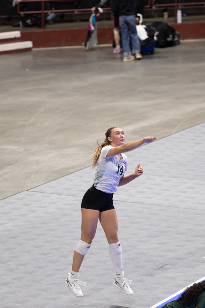 %_tempFileName1M6A0567%