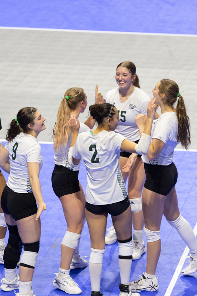 %_tempFileName1M6A0590%