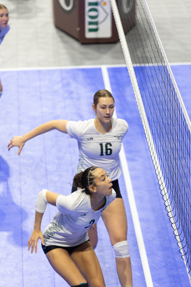 %_tempFileName1M6A0595%