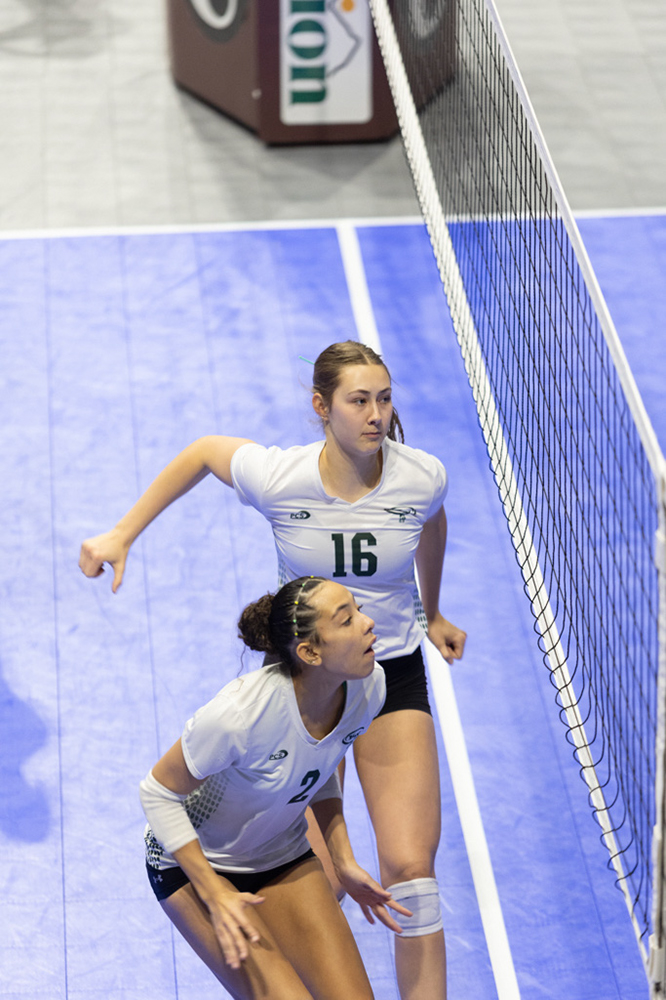 %_tempFileName1M6A0596%