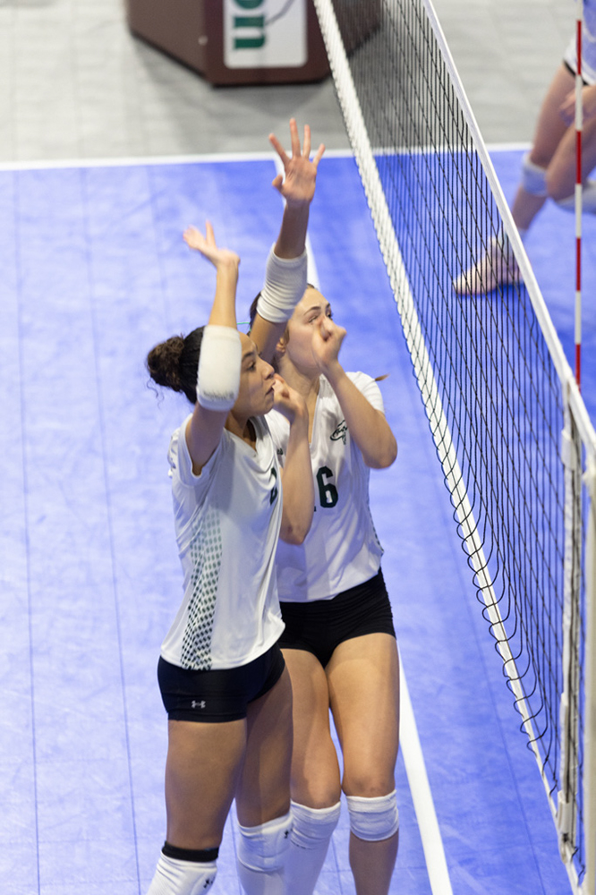 %_tempFileName1M6A0599%