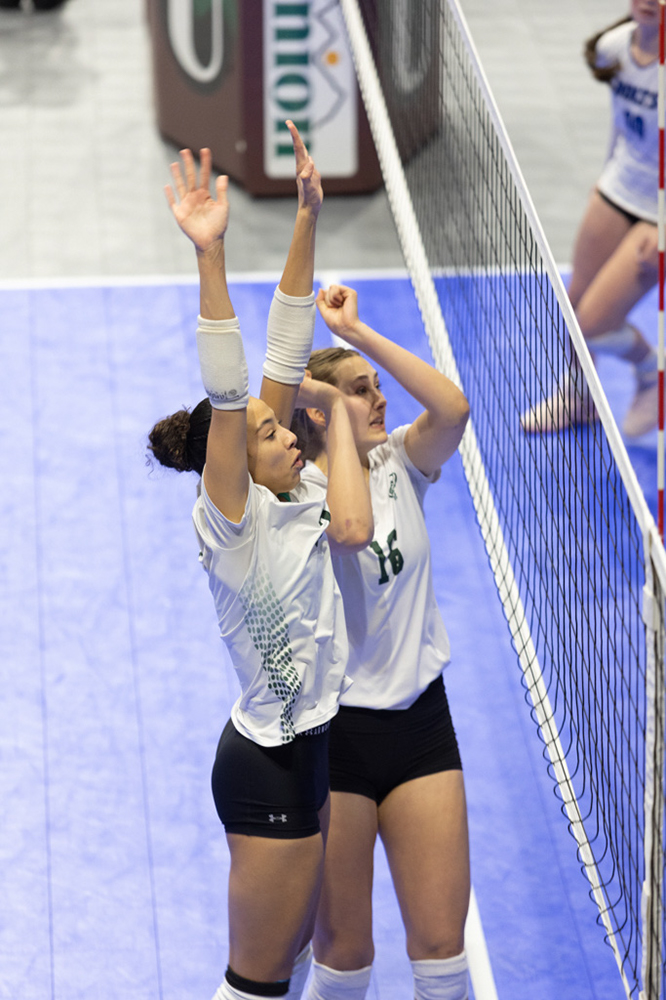 %_tempFileName1M6A0600%