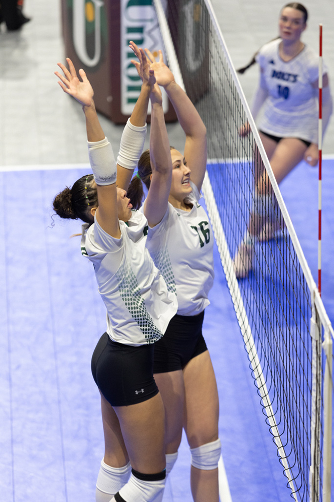 %_tempFileName1M6A0602%