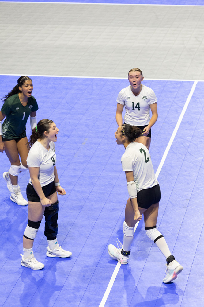 %_tempFileName1M6A0641%