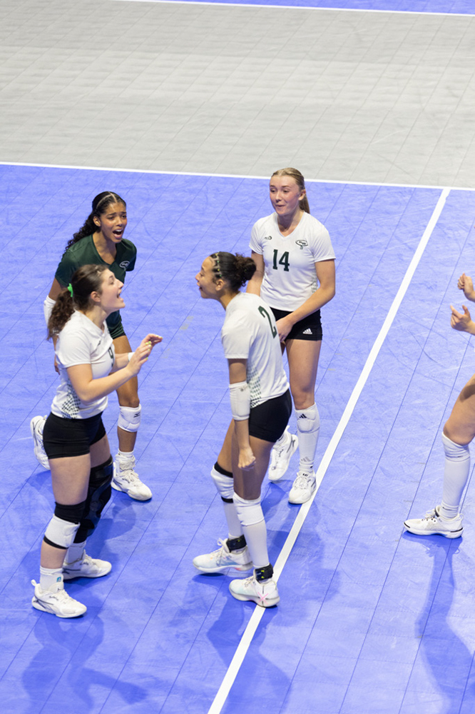 %_tempFileName1M6A0646%