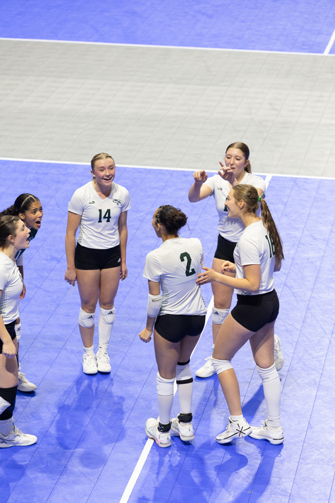 %_tempFileName1M6A0667%