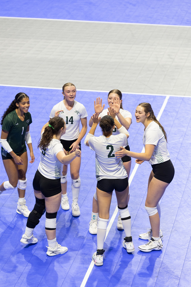 %_tempFileName1M6A0676%