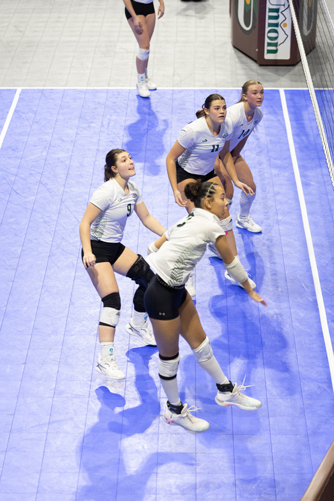 %_tempFileName1M6A0696%