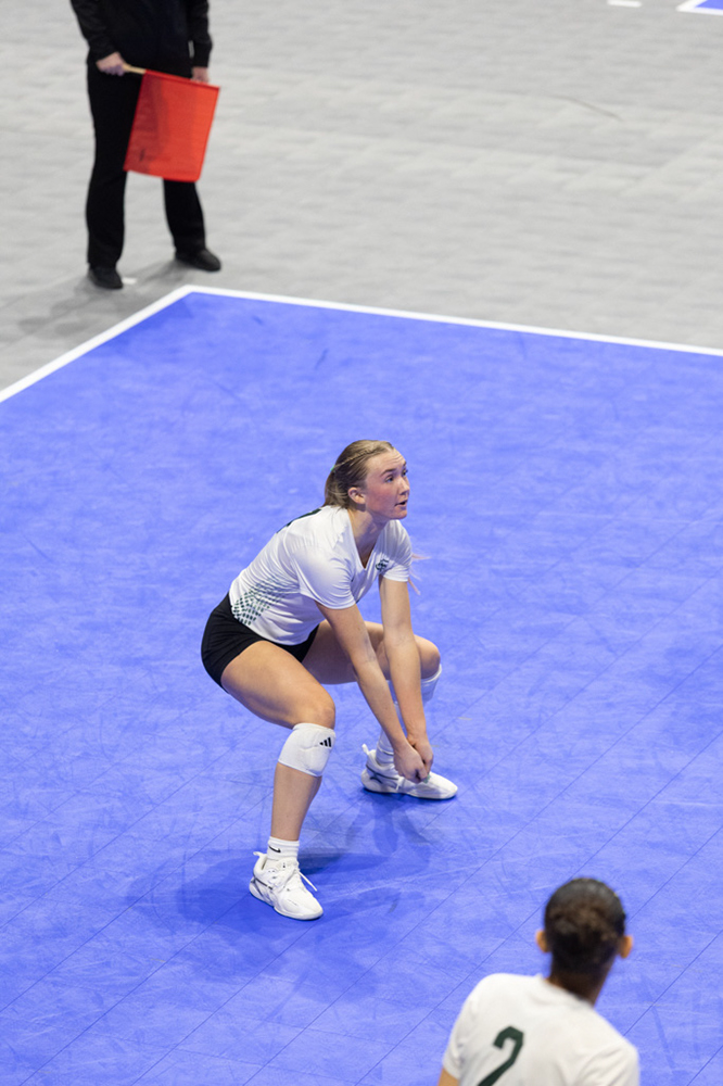 %_tempFileName1M6A0723%