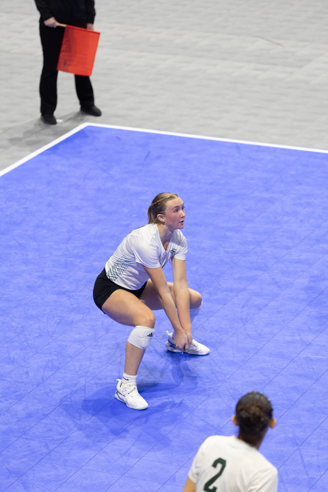 %_tempFileName1M6A0724%