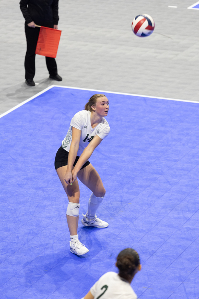 %_tempFileName1M6A0729%