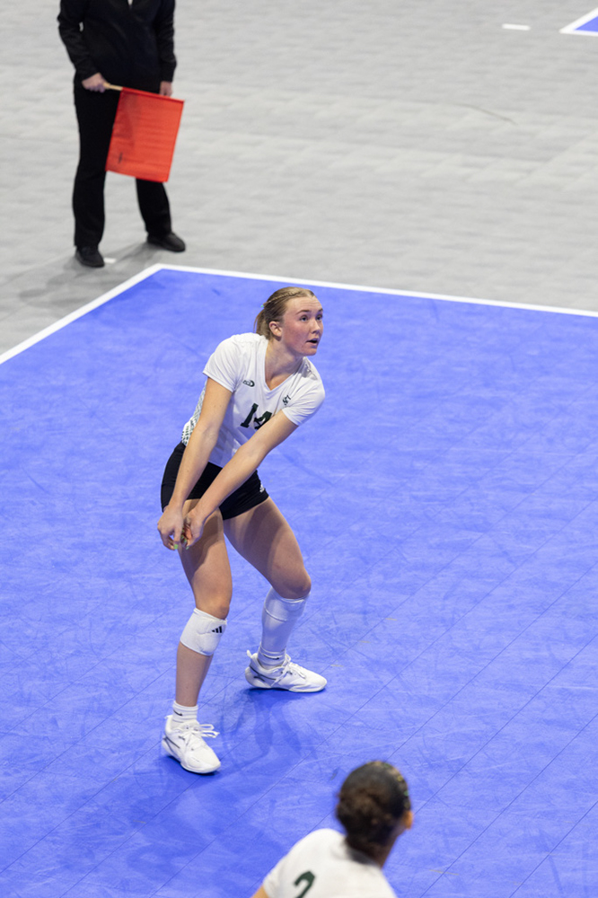 %_tempFileName1M6A0730%