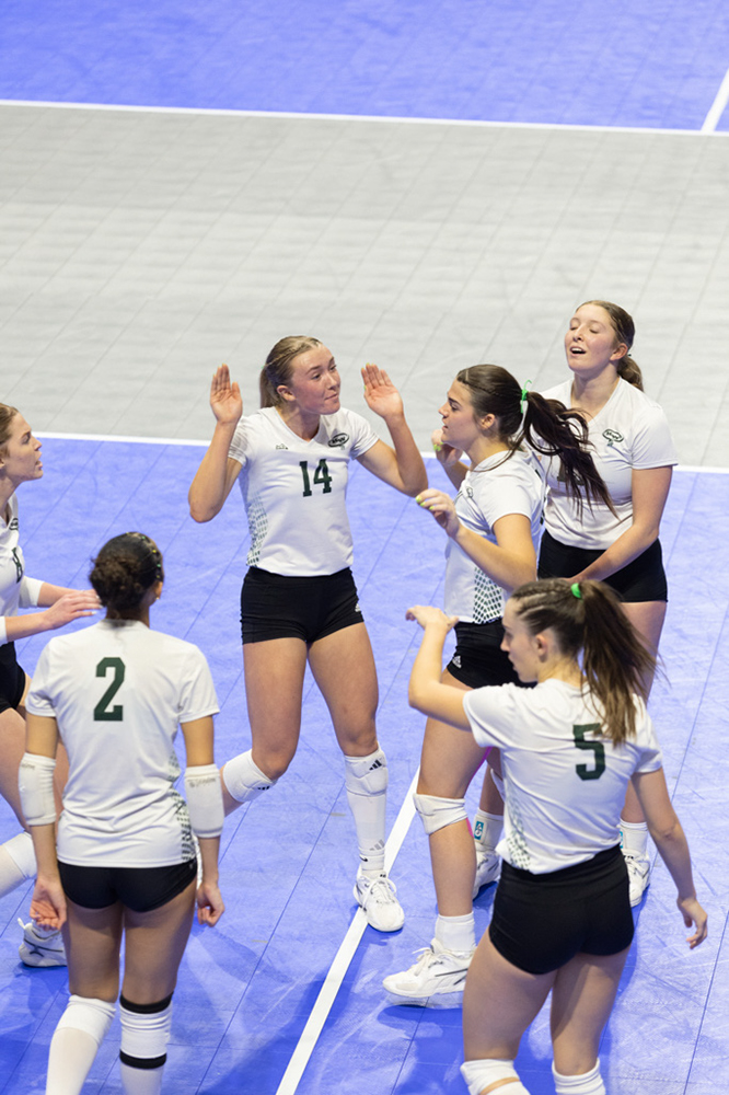 %_tempFileName1M6A0955%