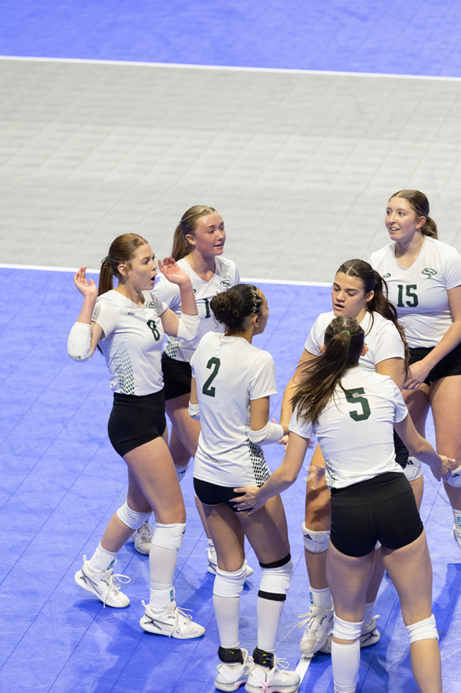 %_tempFileName1M6A0967%