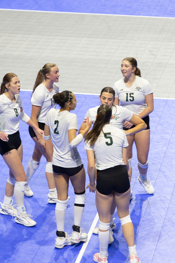 %_tempFileName1M6A0971%