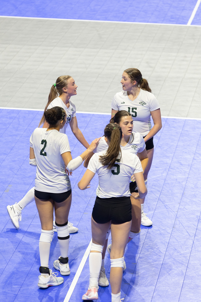 %_tempFileName1M6A0978%