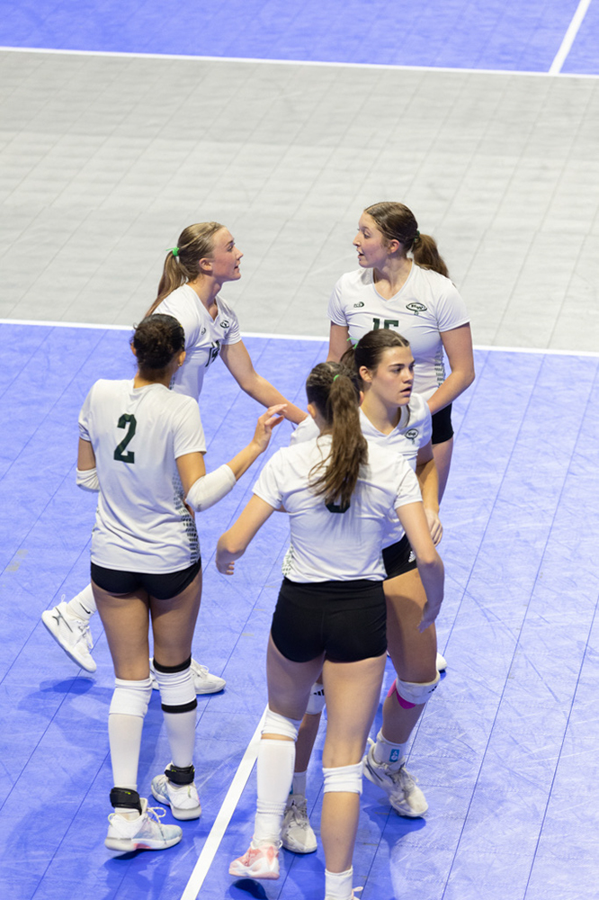 %_tempFileName1M6A0979%