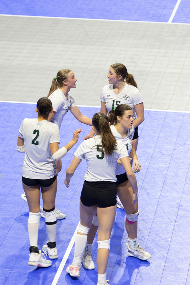 %_tempFileName1M6A0980%