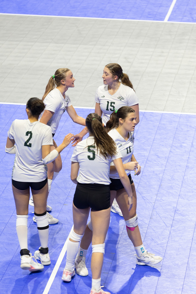 %_tempFileName1M6A0981%