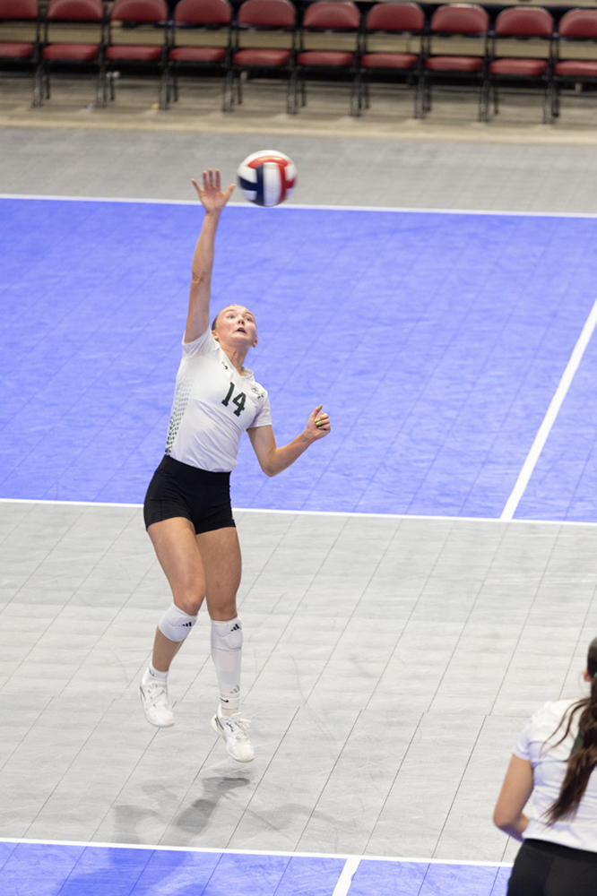 %_tempFileName1M6A0995%