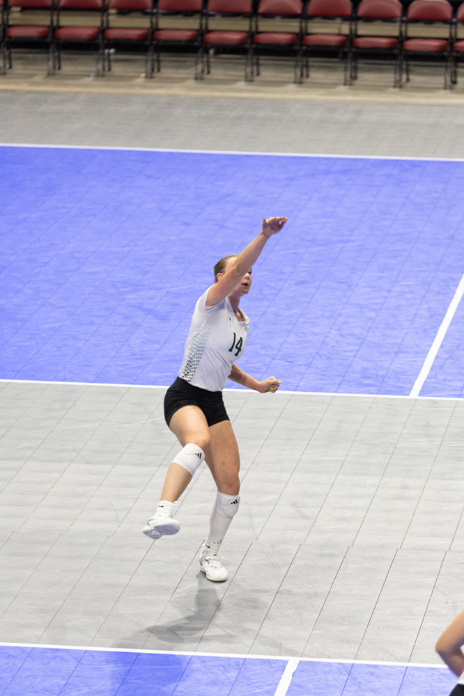 %_tempFileName1M6A0998%