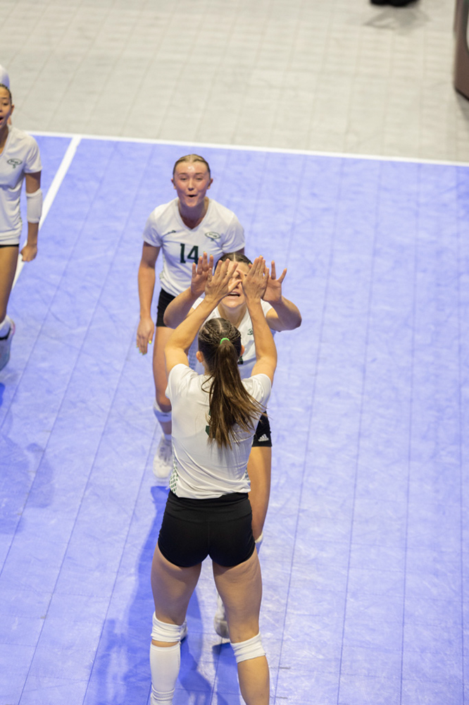 %_tempFileName1M6A1046%