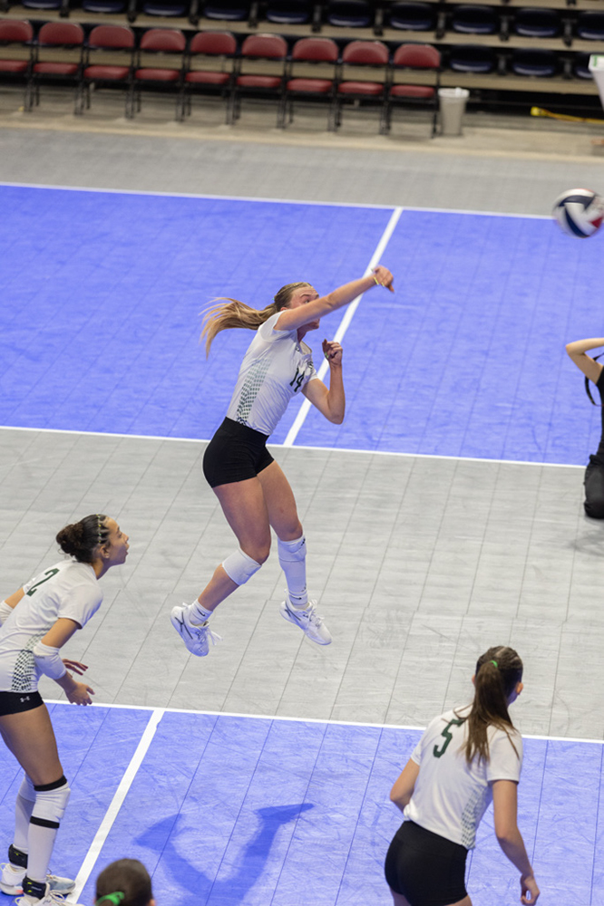 %_tempFileName1M6A1131%