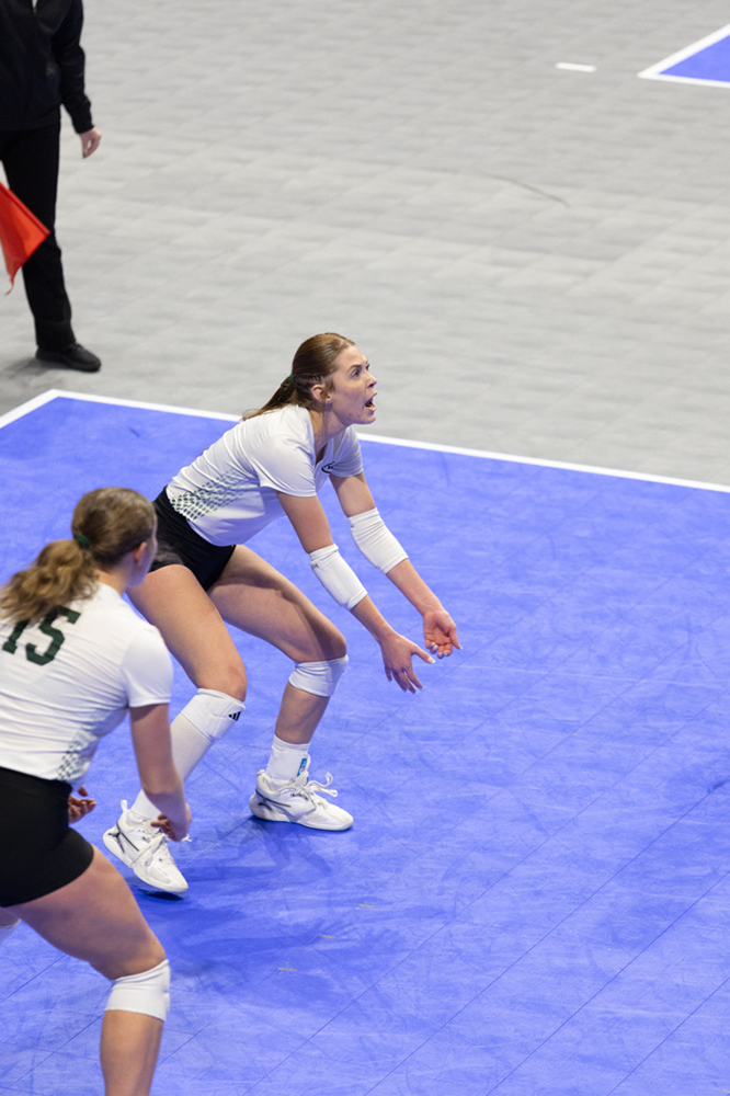 %_tempFileName1M6A1135%