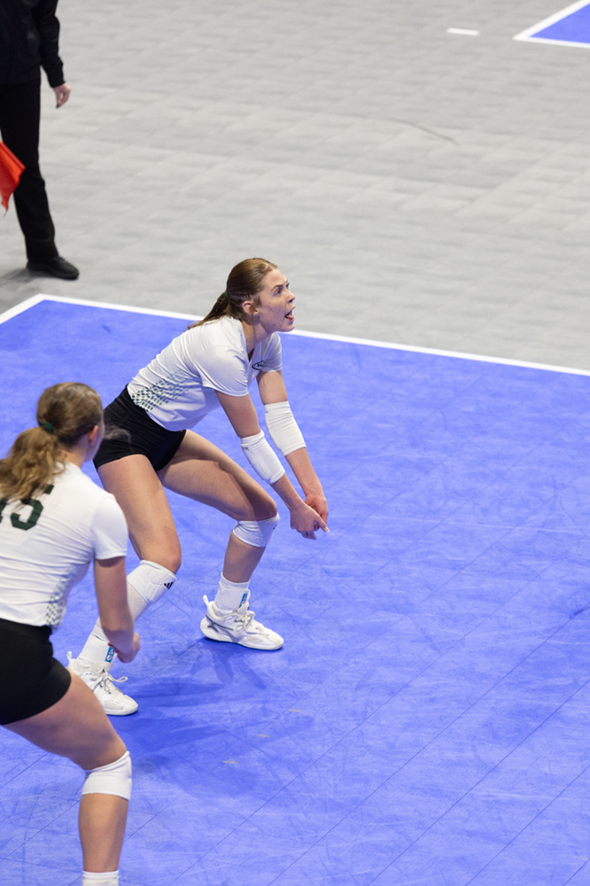 %_tempFileName1M6A1136%