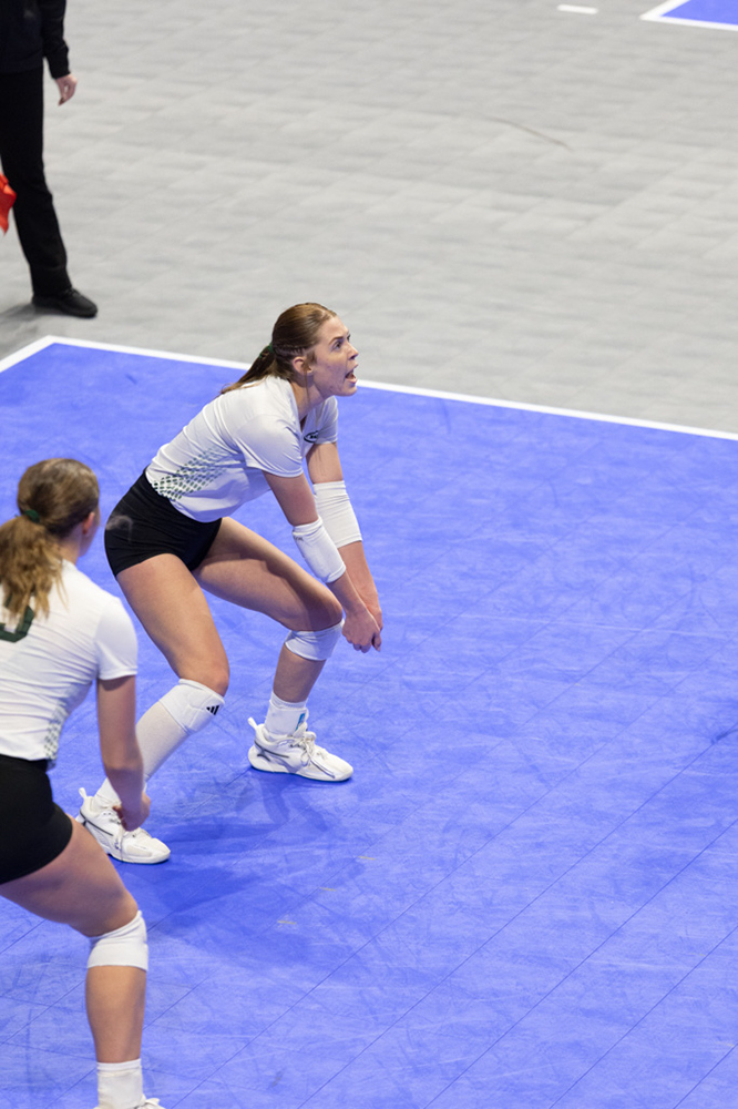 %_tempFileName1M6A1137%