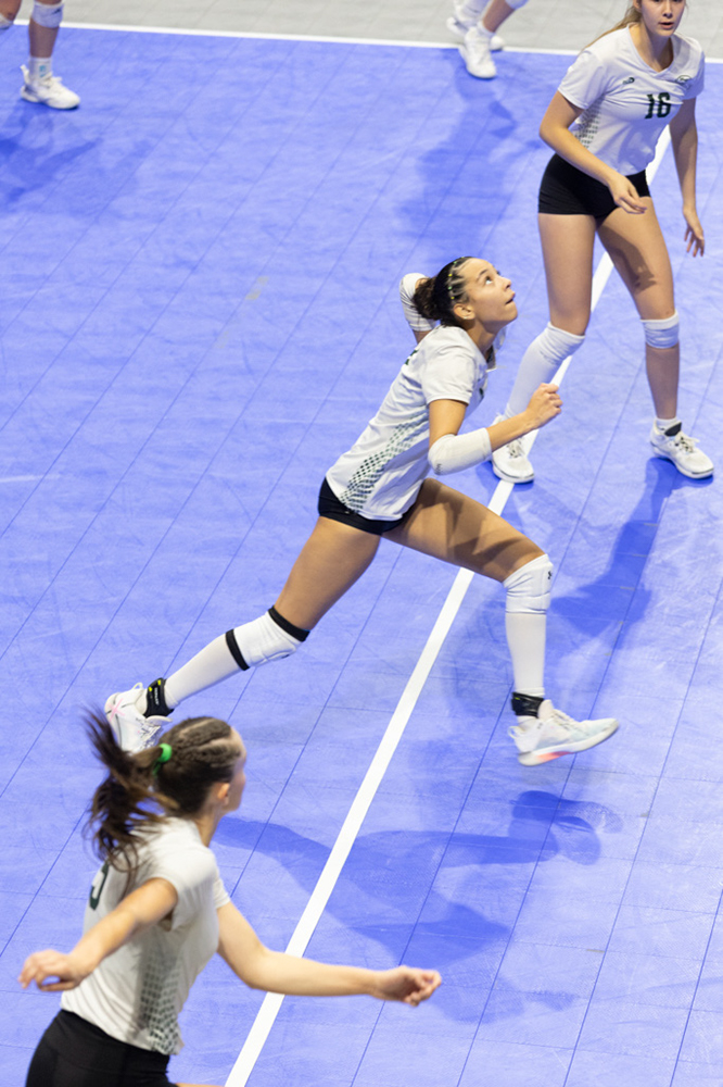 %_tempFileName1M6A1161%