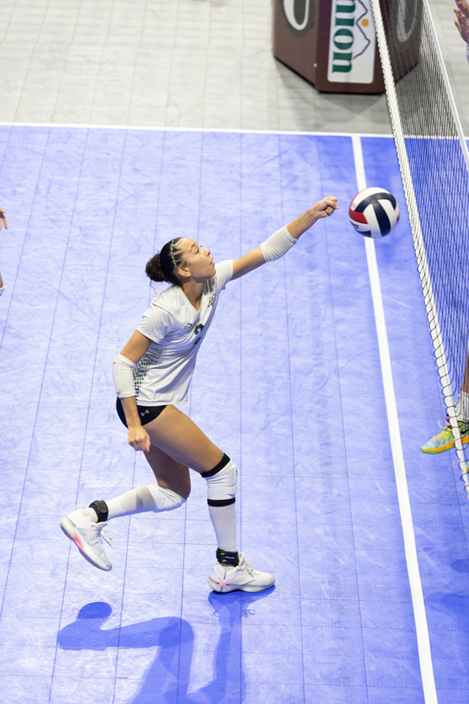 %_tempFileName1M6A1169%