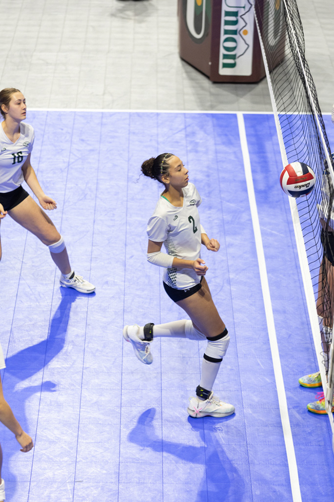 %_tempFileName1M6A1174%