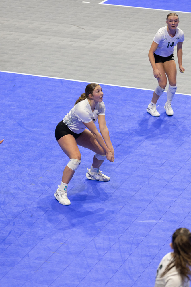 %_tempFileName1M6A1191%