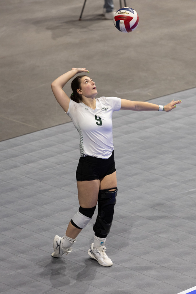 %_tempFileName1M6A1252%