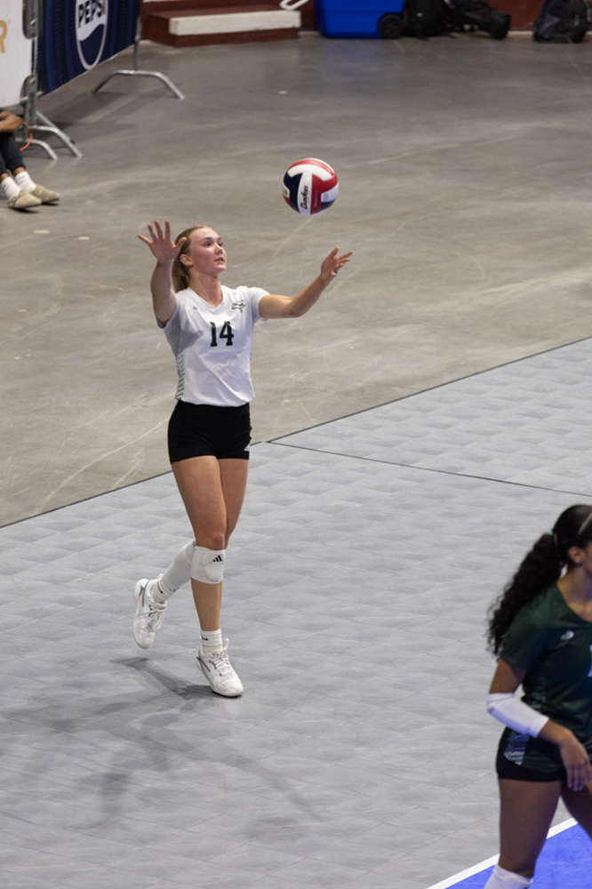 %_tempFileName1M6A1278%