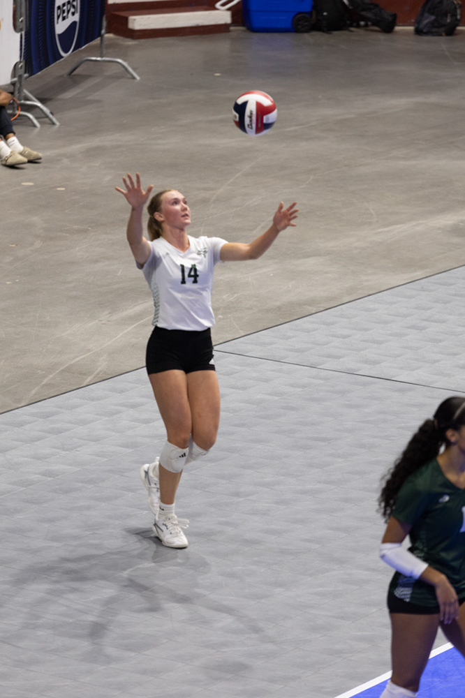 %_tempFileName1M6A1279%