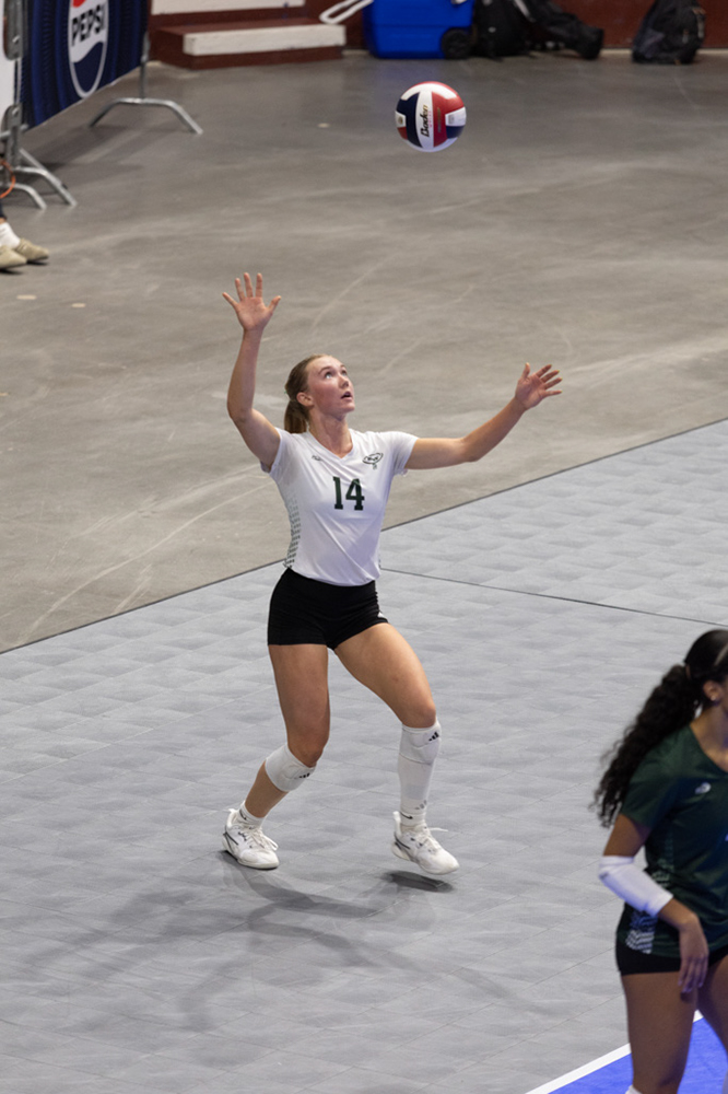 %_tempFileName1M6A1281%