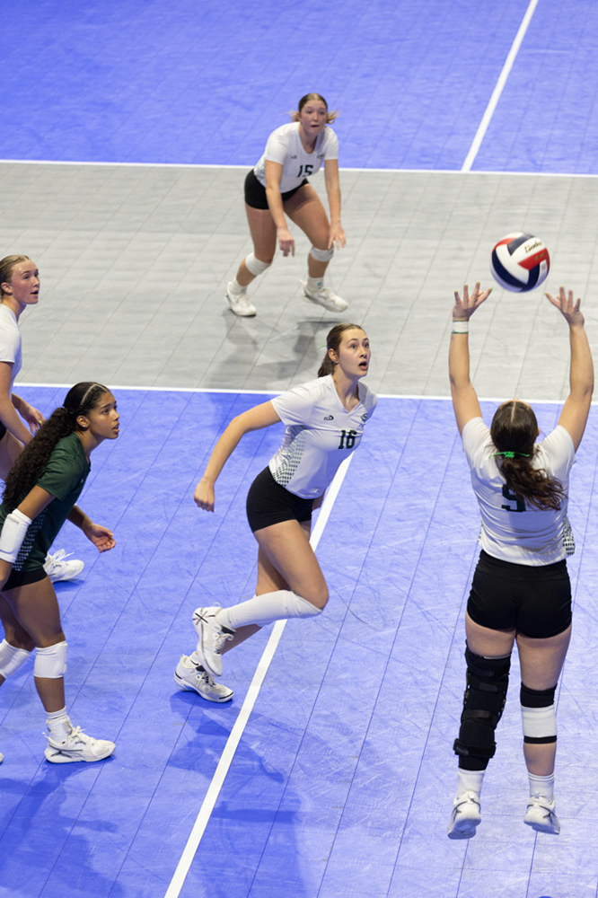 %_tempFileName1M6A1337%