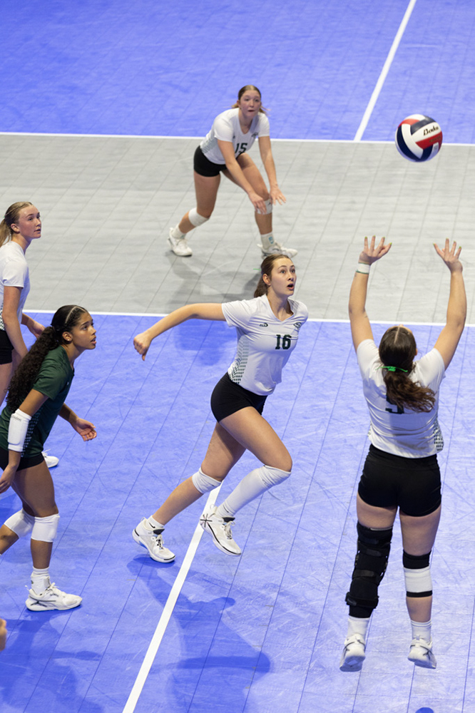 %_tempFileName1M6A1338%